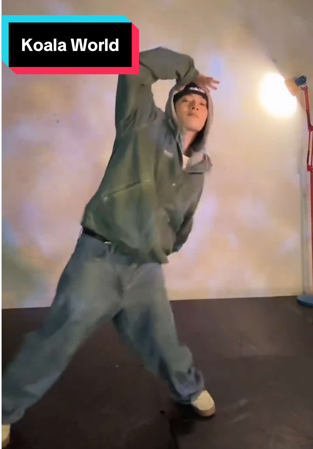@SINY🐨