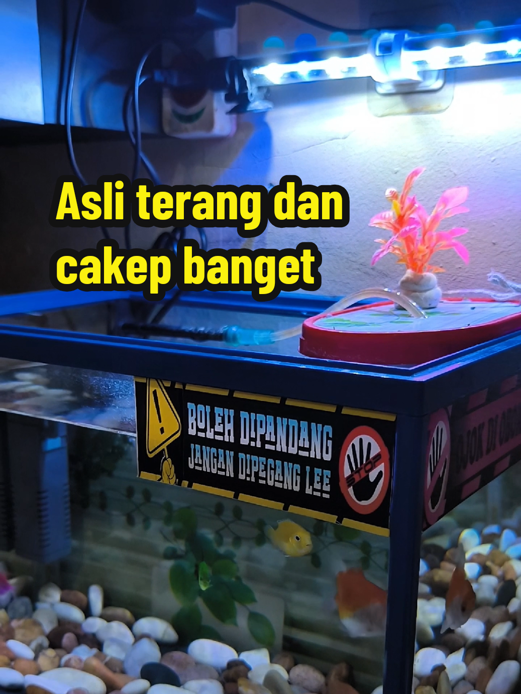 @rumah_ikdan