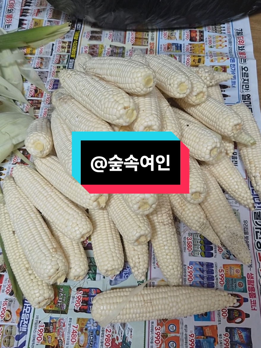 @비엘라_까사🏡