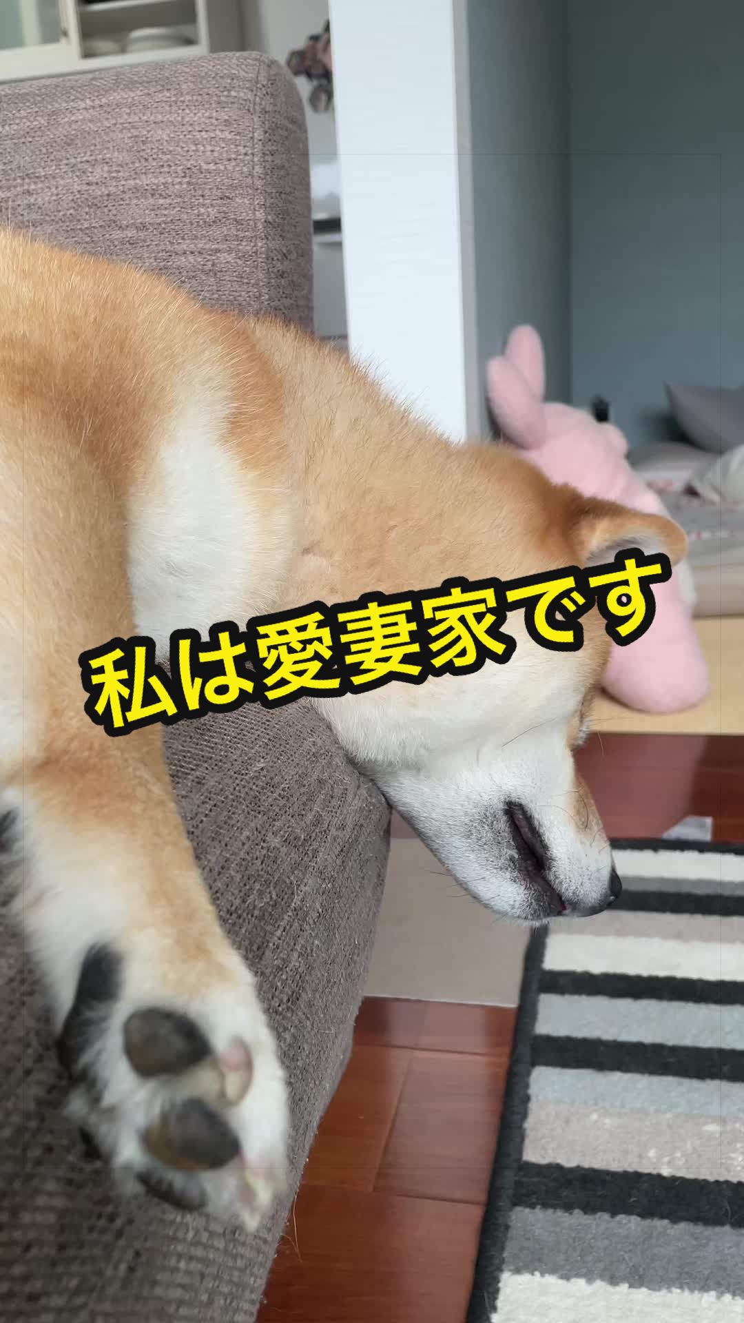 @特に柴犬が好きな人