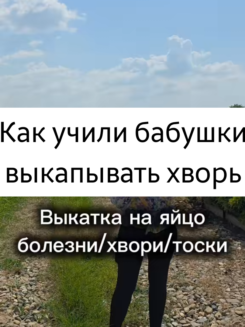 @все в ТГК: violetta_wax