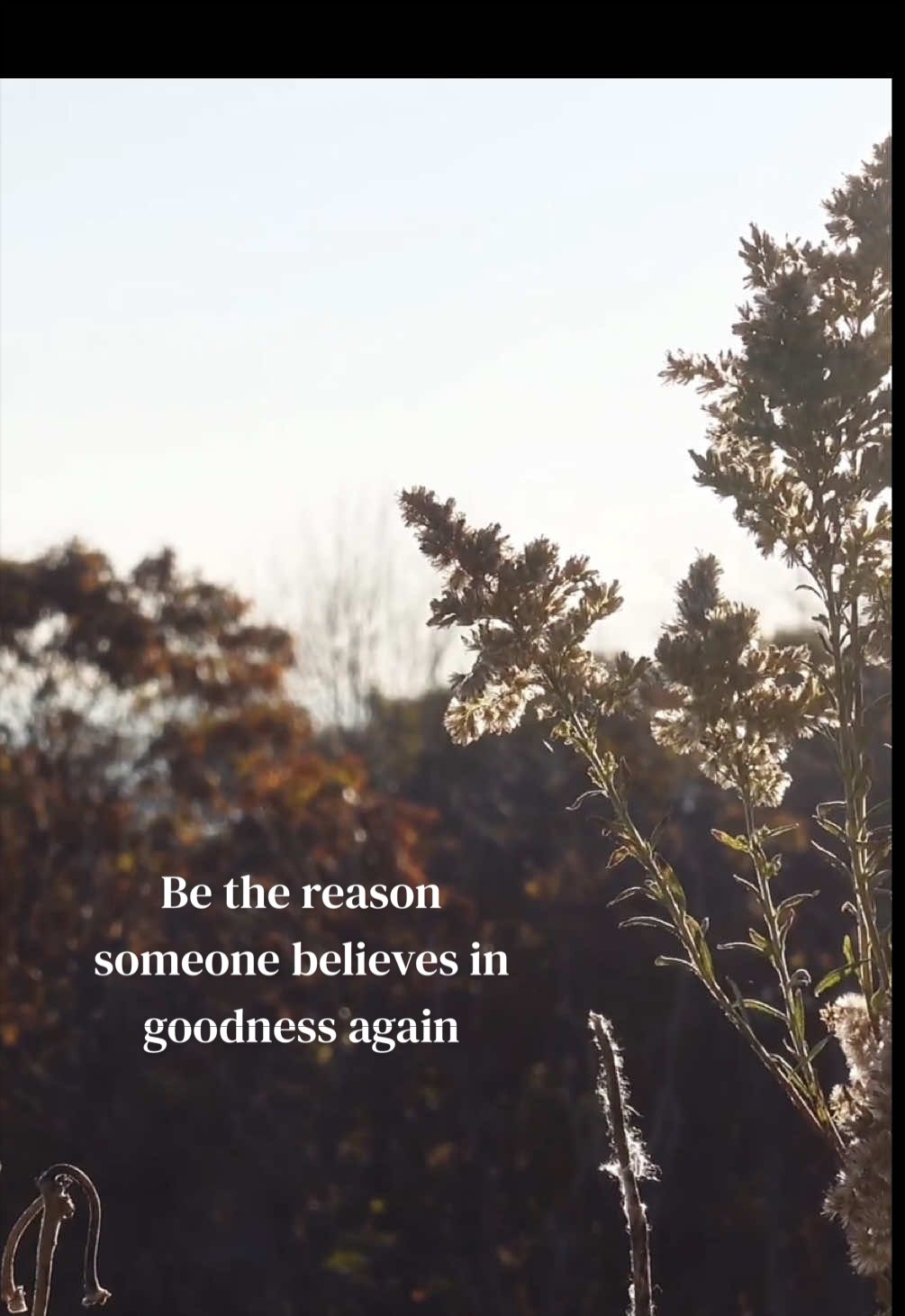 @Daily Healing Quotes ✨