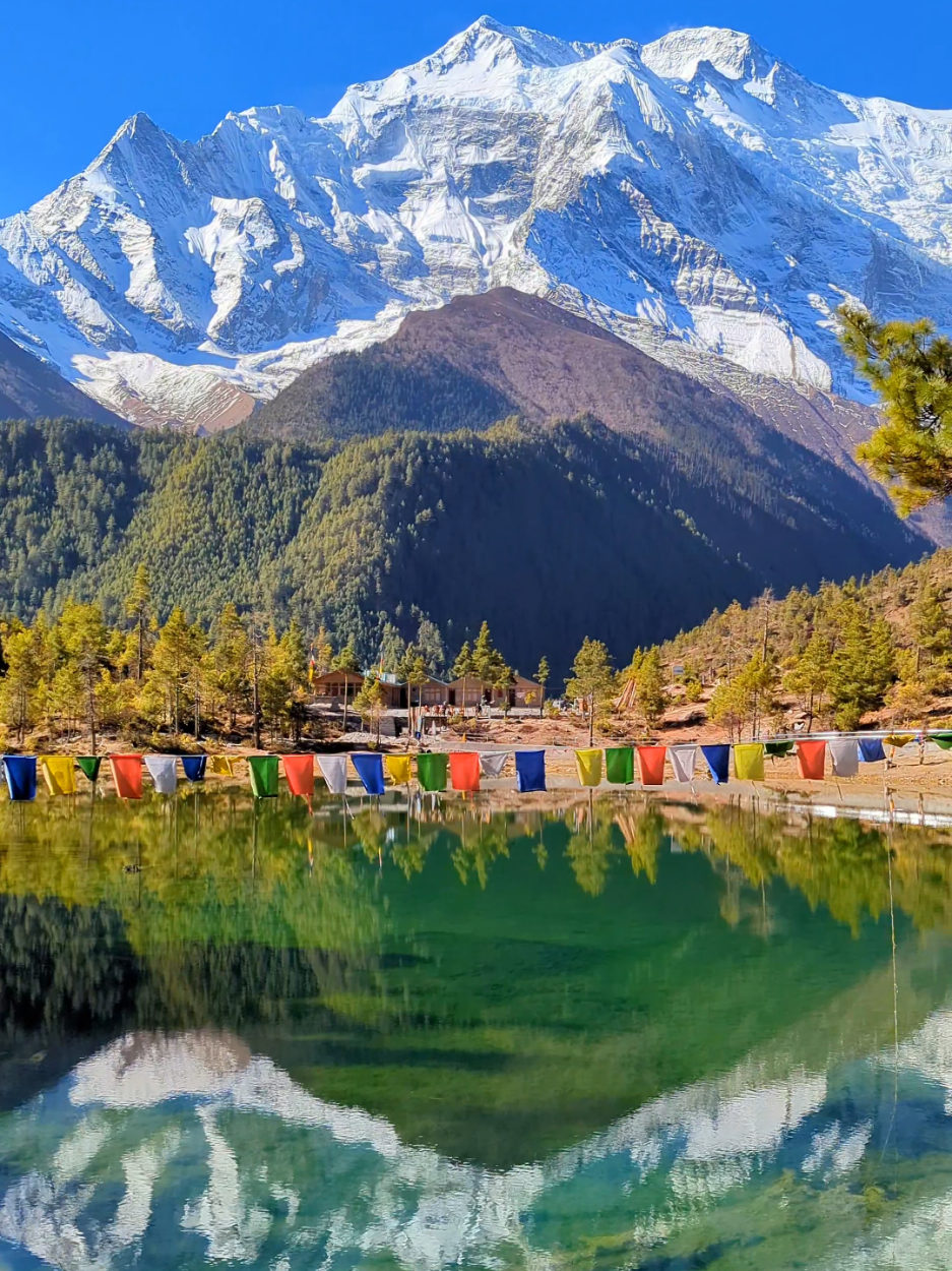 @Dr. Prabin Regmi