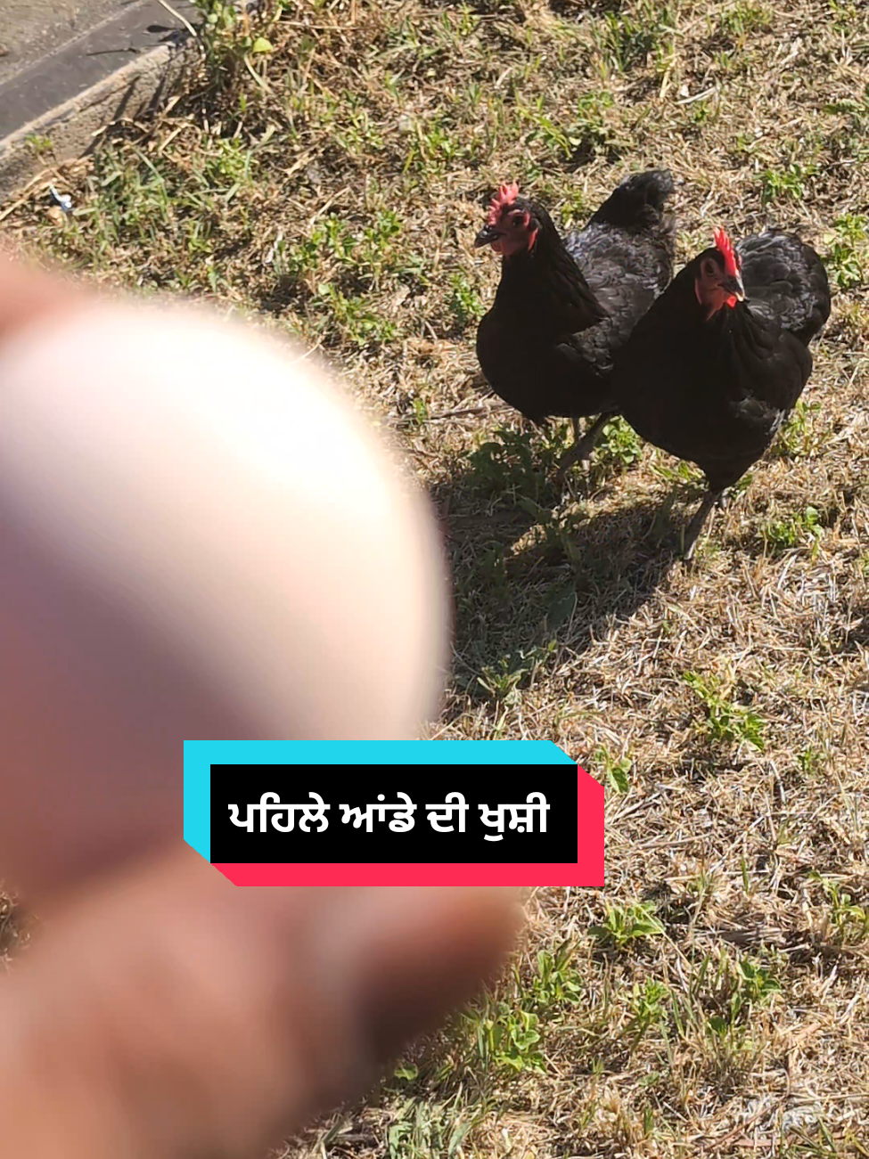 @vishalvijay singh