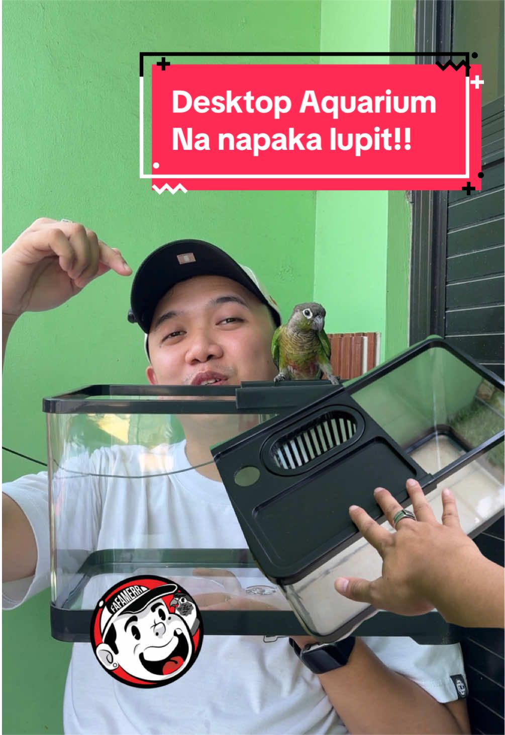 @FAFAMERR