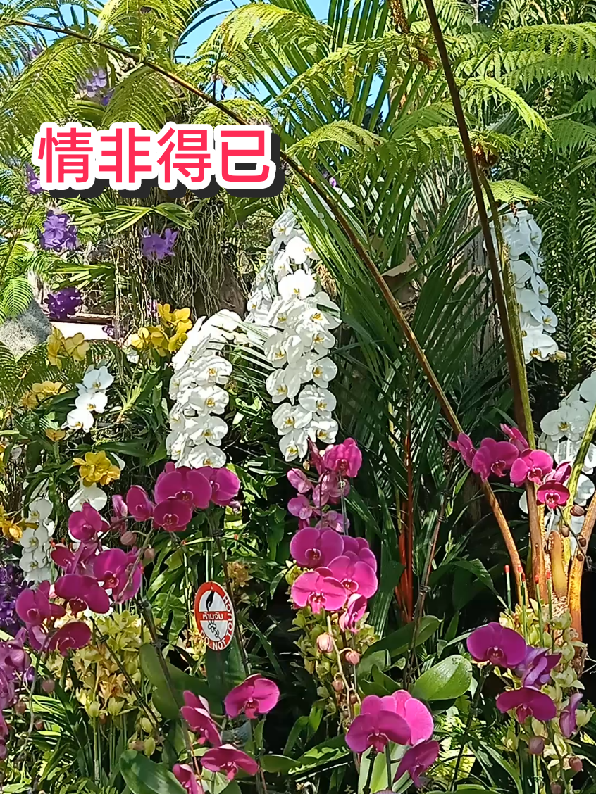 @เฮียชาติขายทุกอย่าง