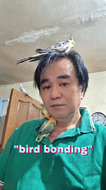 @Elvis McCoy
