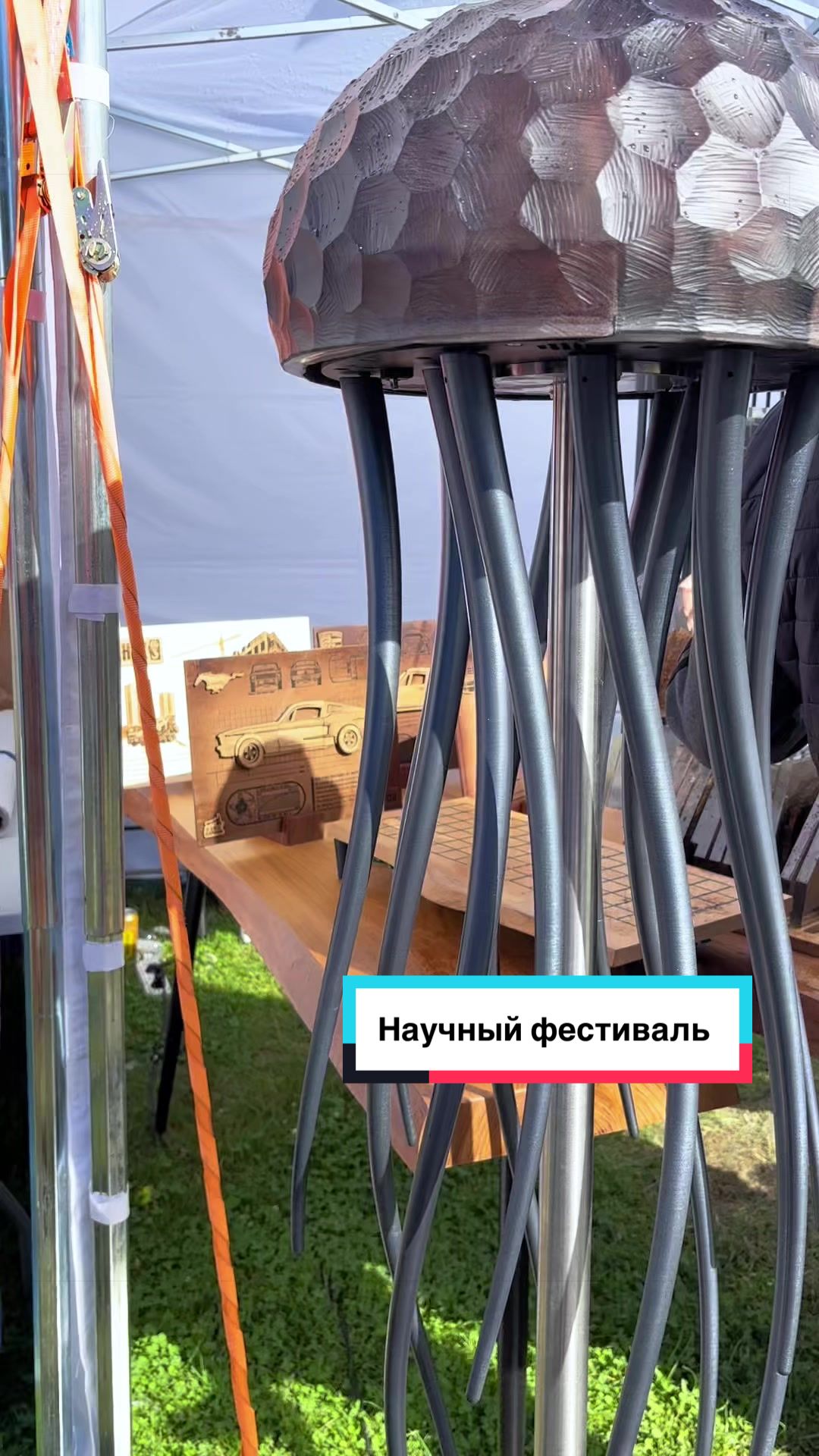 @Анна Крупина