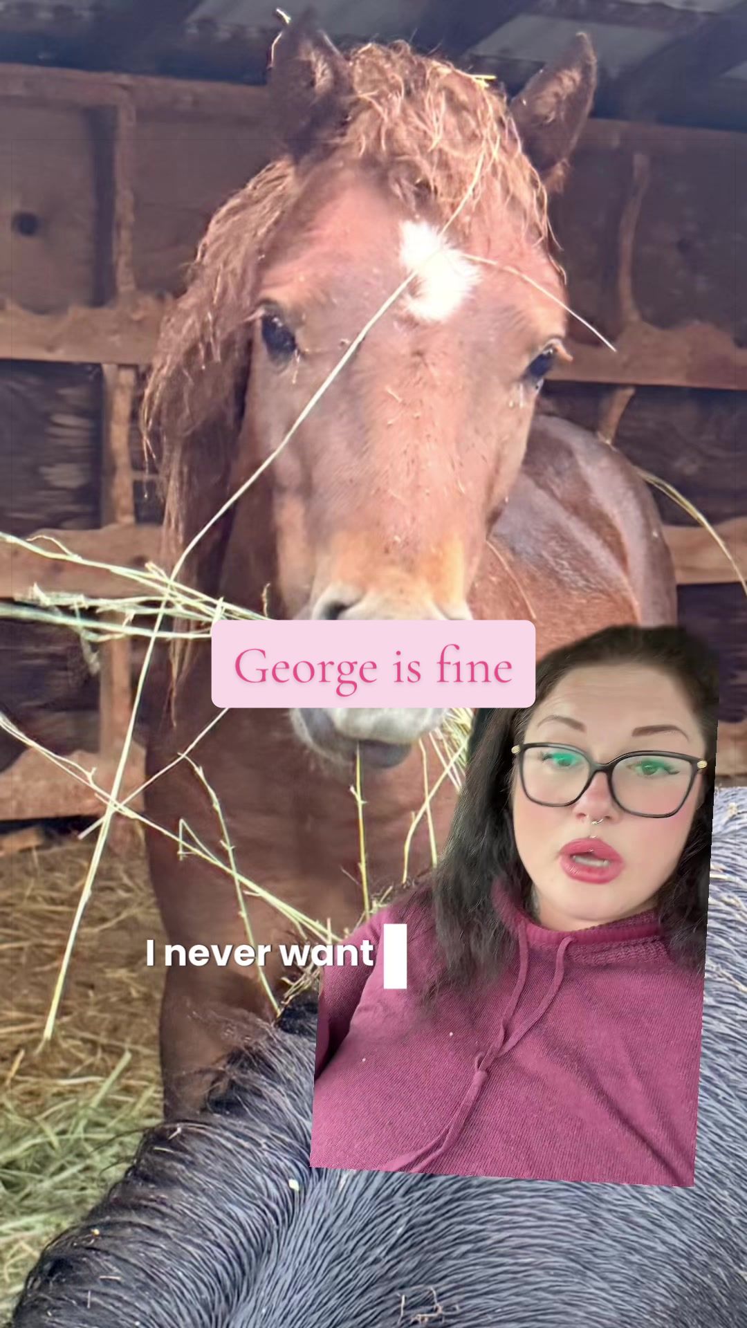 @Becca | Life + Animals 🇨🇦