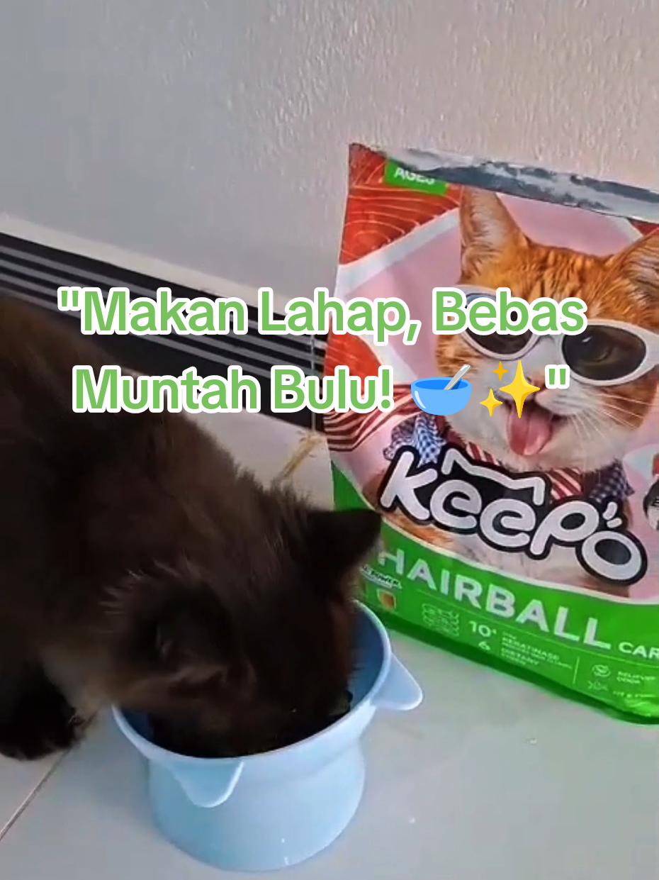 @Medayo Petcare