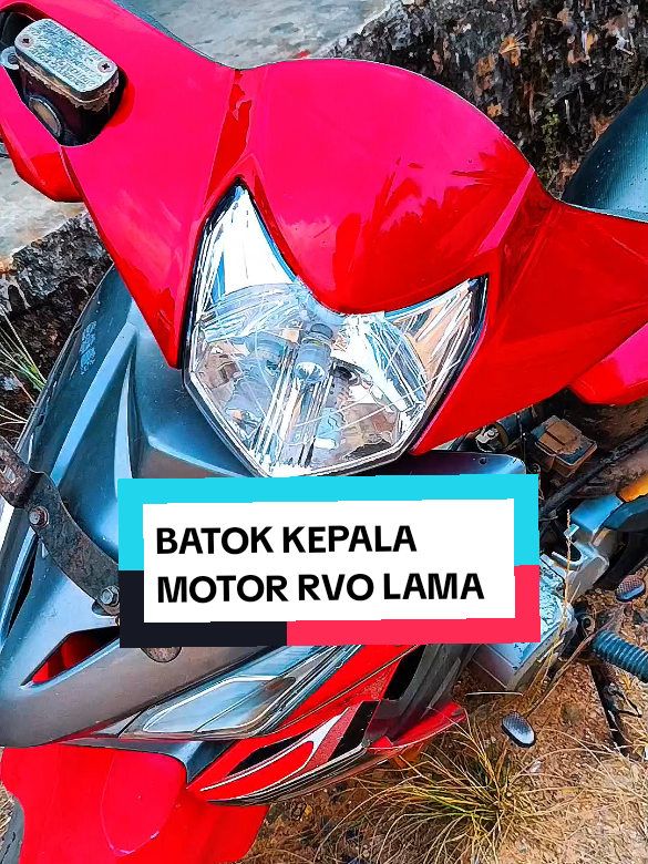 @yunfa lovers