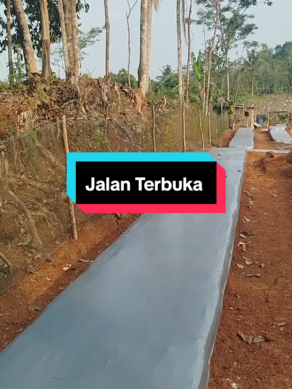@SenimanPertanianCikancahTV