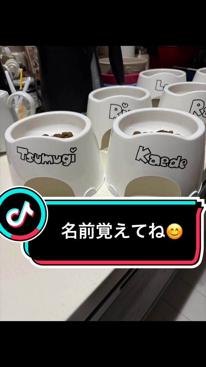 @ダックス愛好家(ワンワンパパ)