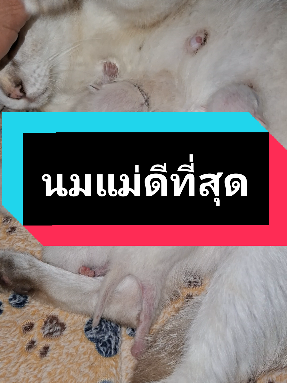 @ฮโหล....สมอง