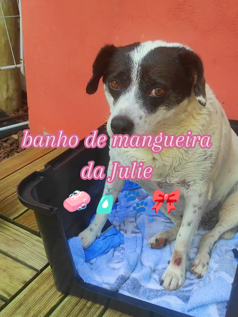 @~๐ ๐๐๐ฏโ ๐~