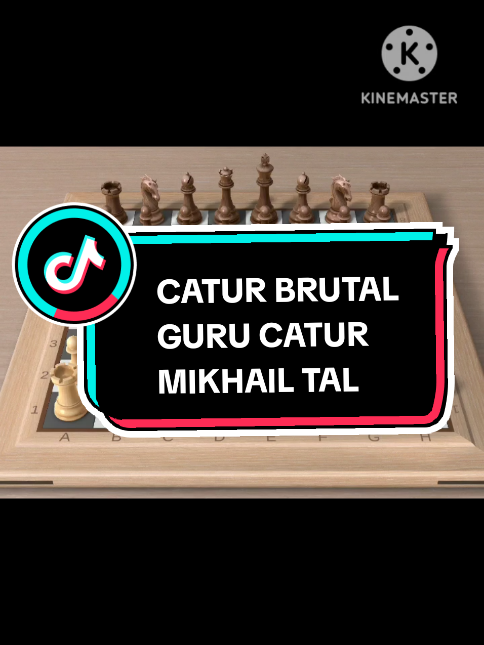 @CATUR DUNIA