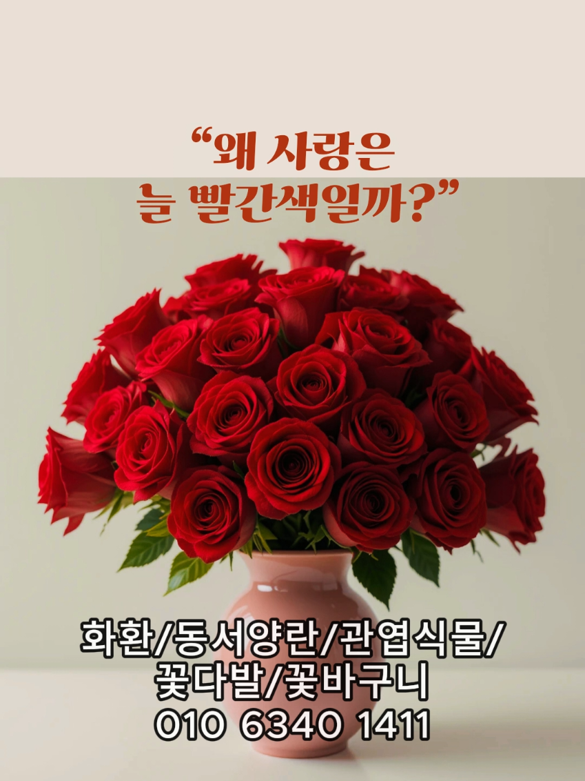 @hayaflower