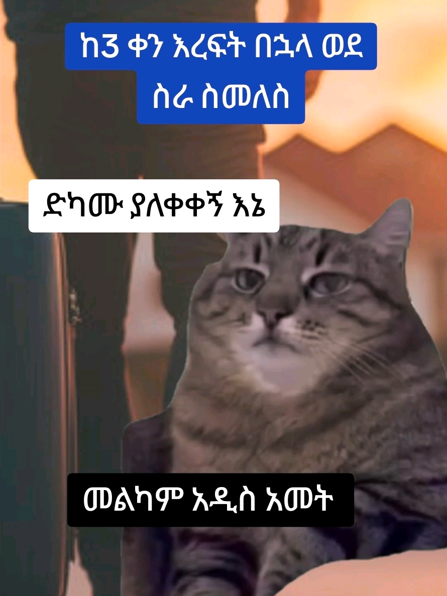@Dr. Brook Alemayehu