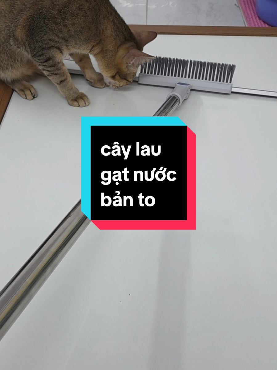 @Khế thúi