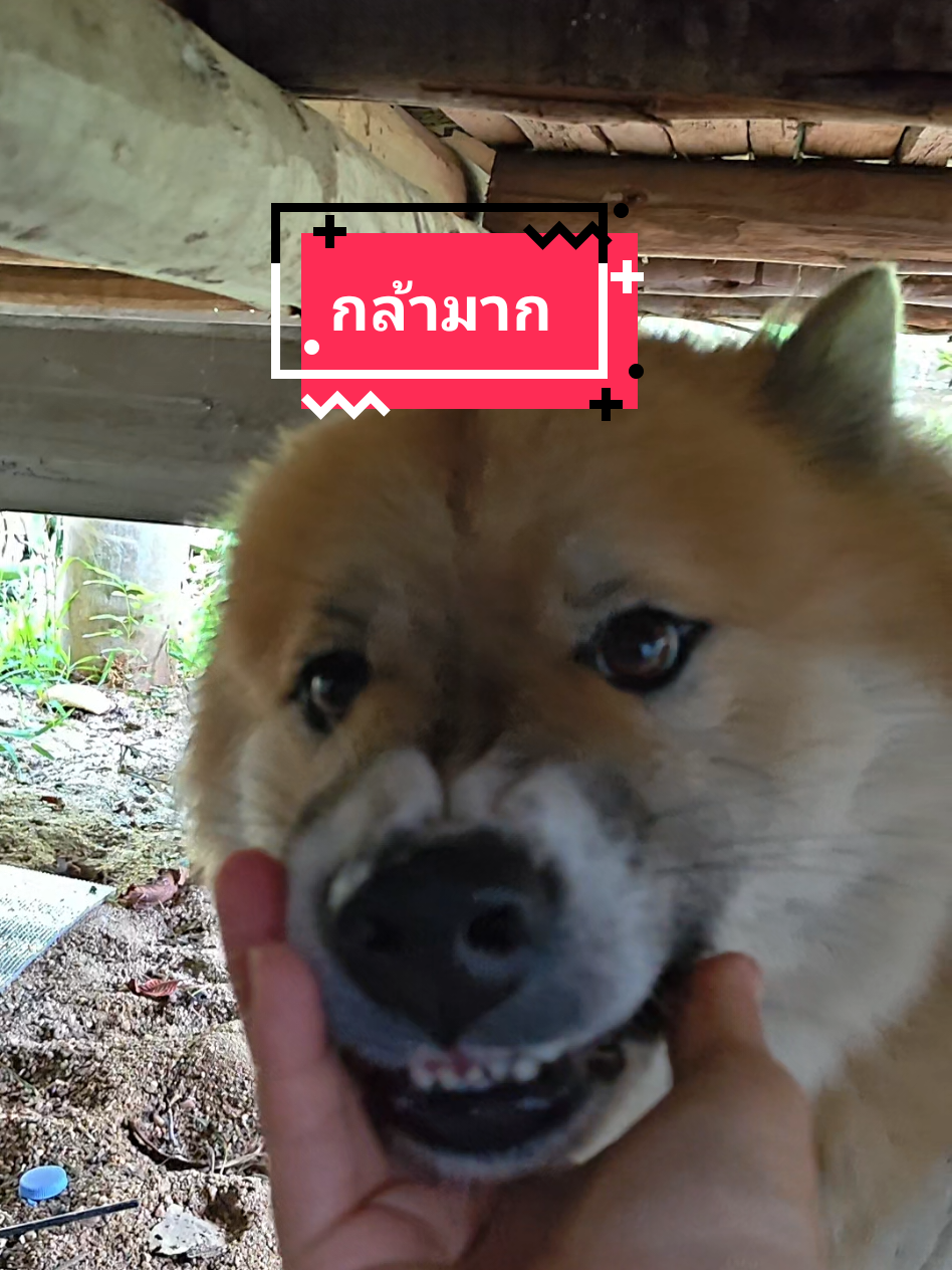 @หลิวหลิว แม่พี่ธอร์
