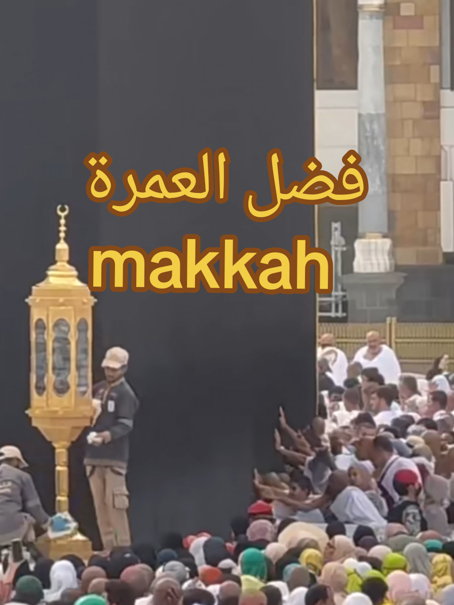 @سعود من المدينة Madinah 🇸🇦