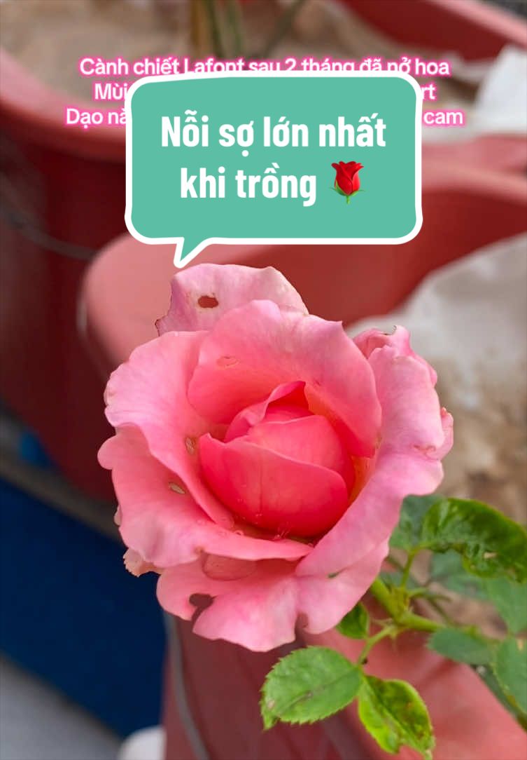 @Gia vị cuộc sống