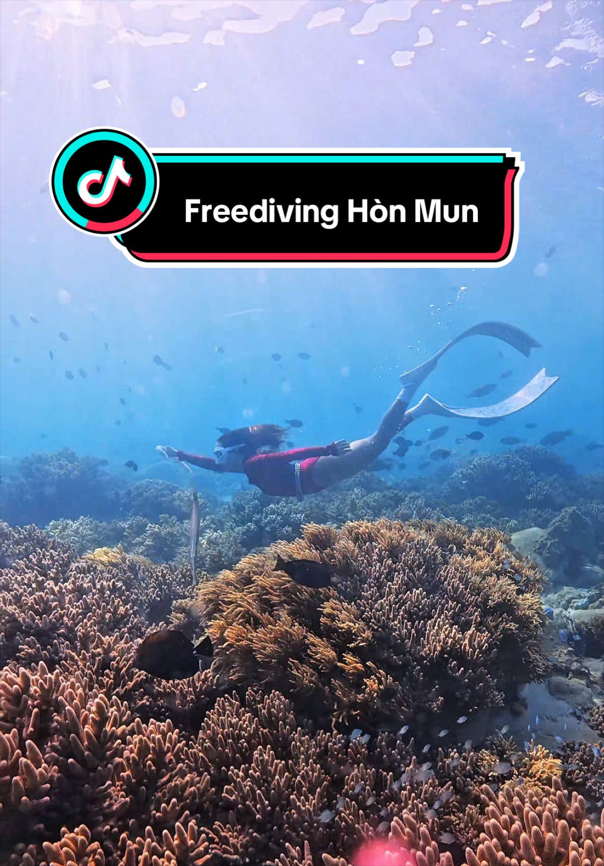@Love Freediving Nha Trang