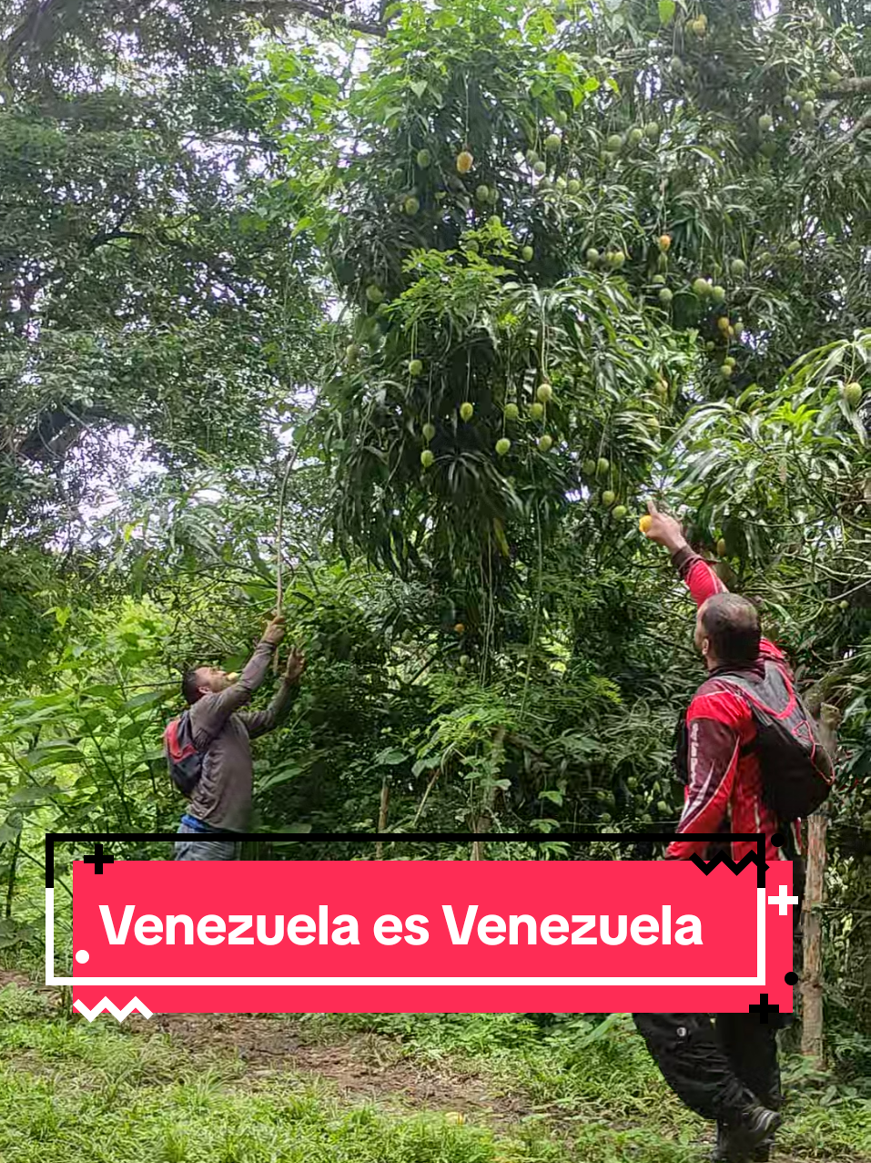 @Wanderlust Biker Vzla R.E.