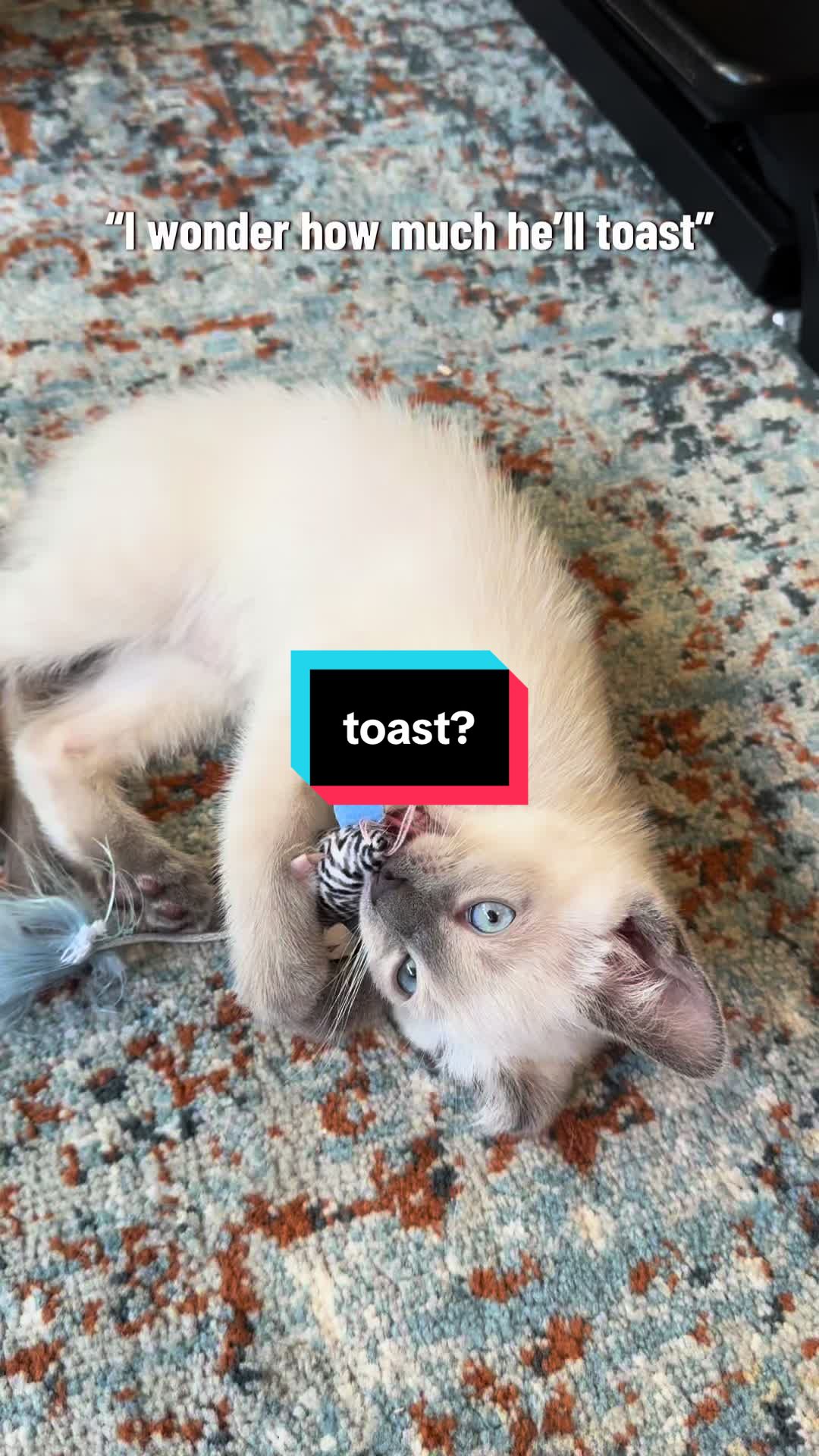 @lilloafygirl