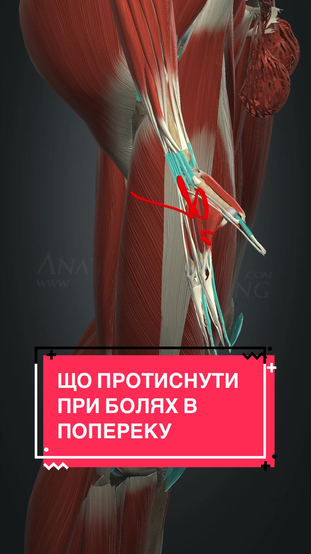 @B I K M A E V