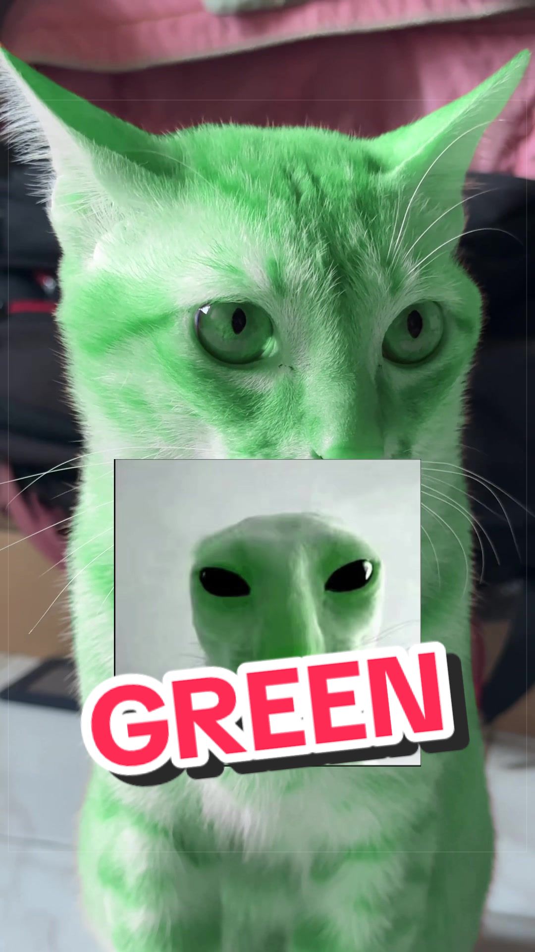 @Leet