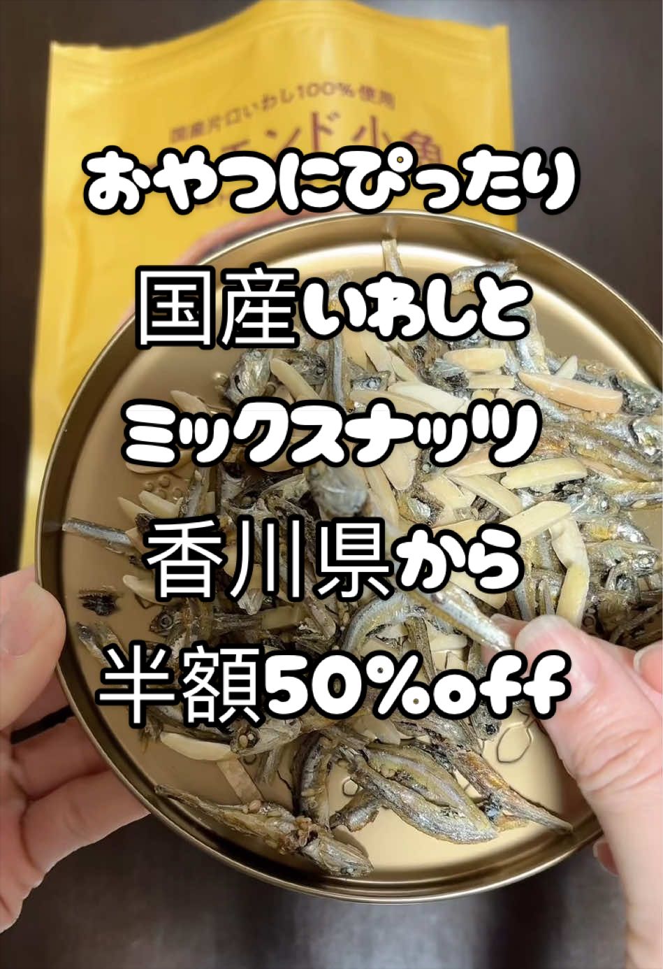 @愛子ちゃんの日常
