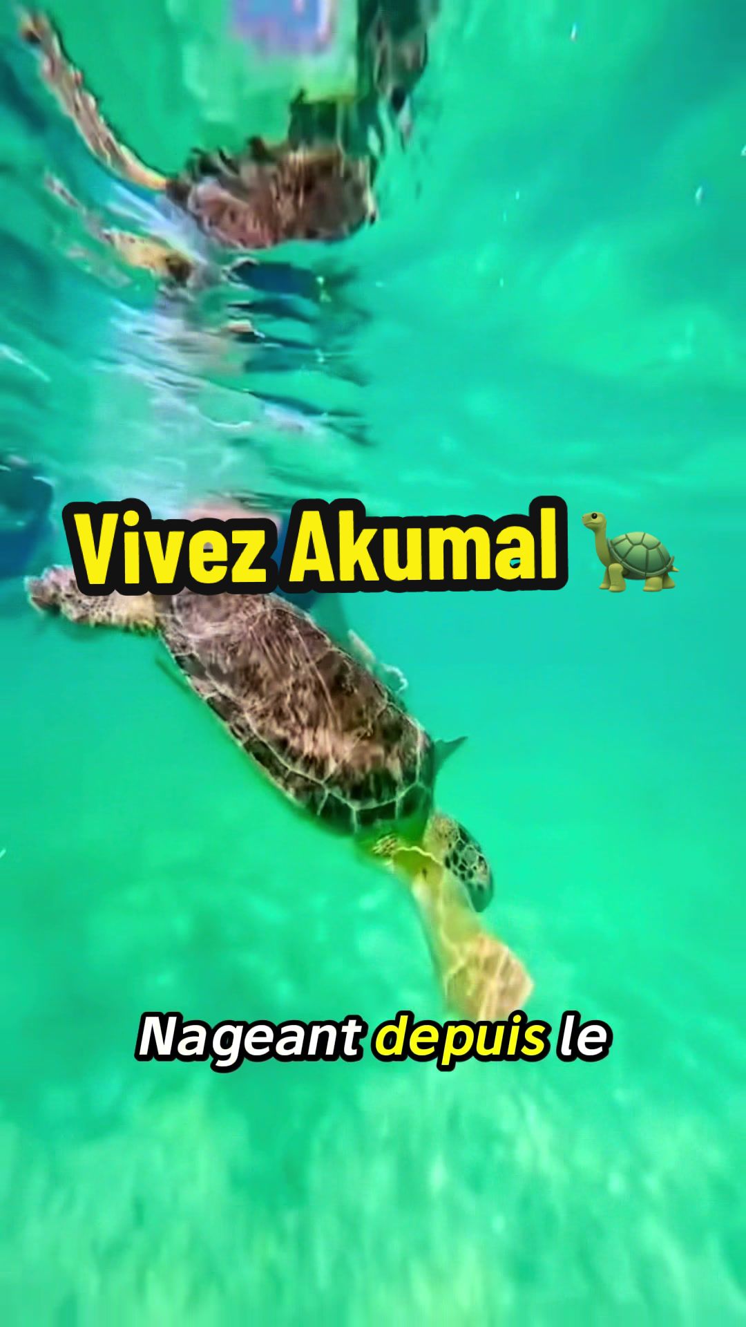@xamanexperience