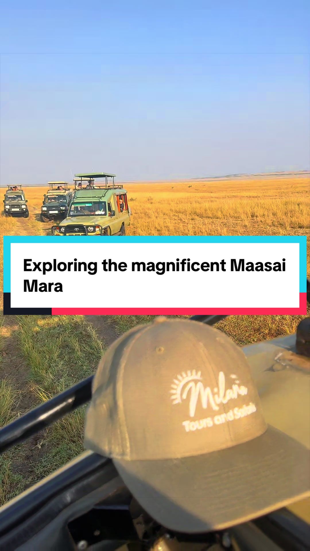 @Milana Tours and Safaris