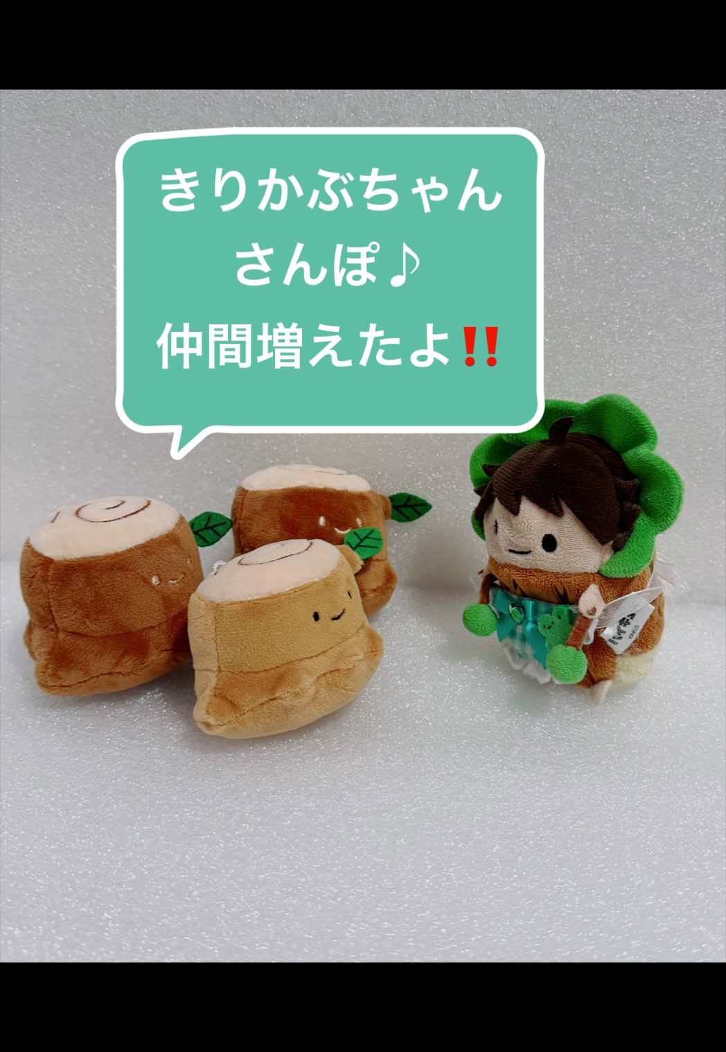 @ぴこたろう🍃 5/24a! 7/5星願💫