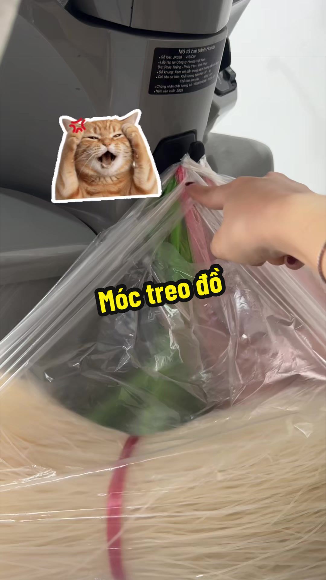 @Hoàng Anh
