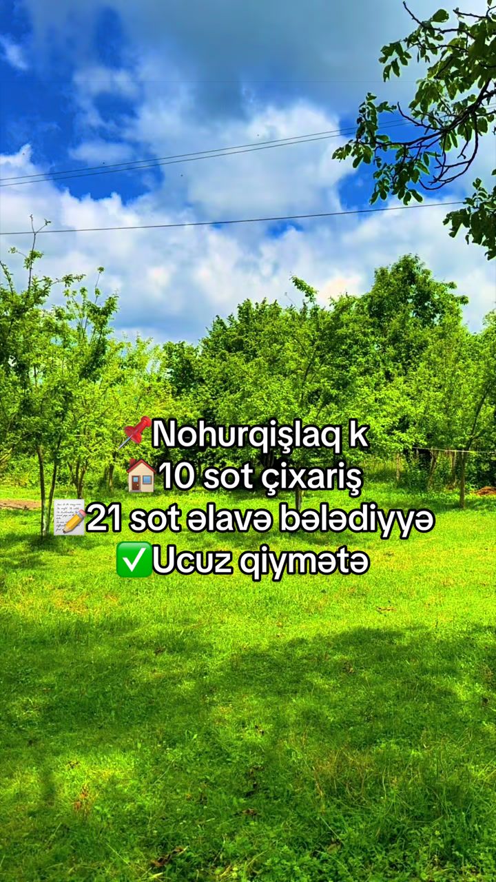 @Qəbələ Əmlak Ruzi