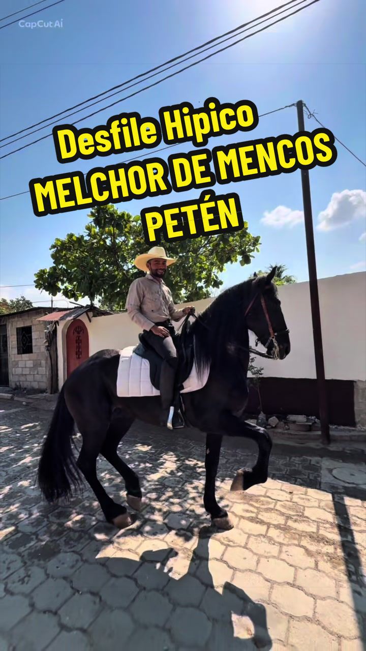 @reydelcaballo.gt