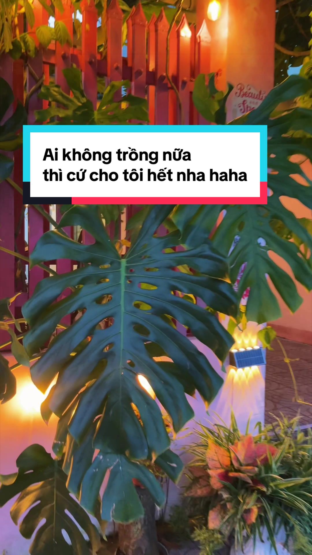 @AndyTrần c&oacute; c&aacute;i SPA 🏝️ 🤓 ☘️