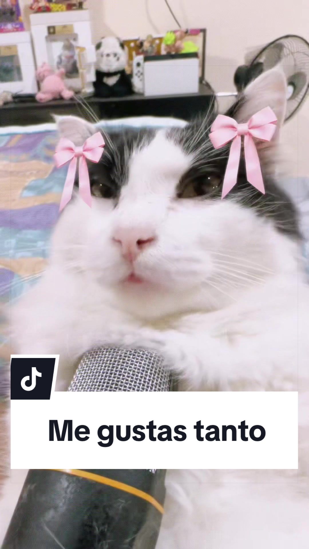 @pepe_el_gordillo