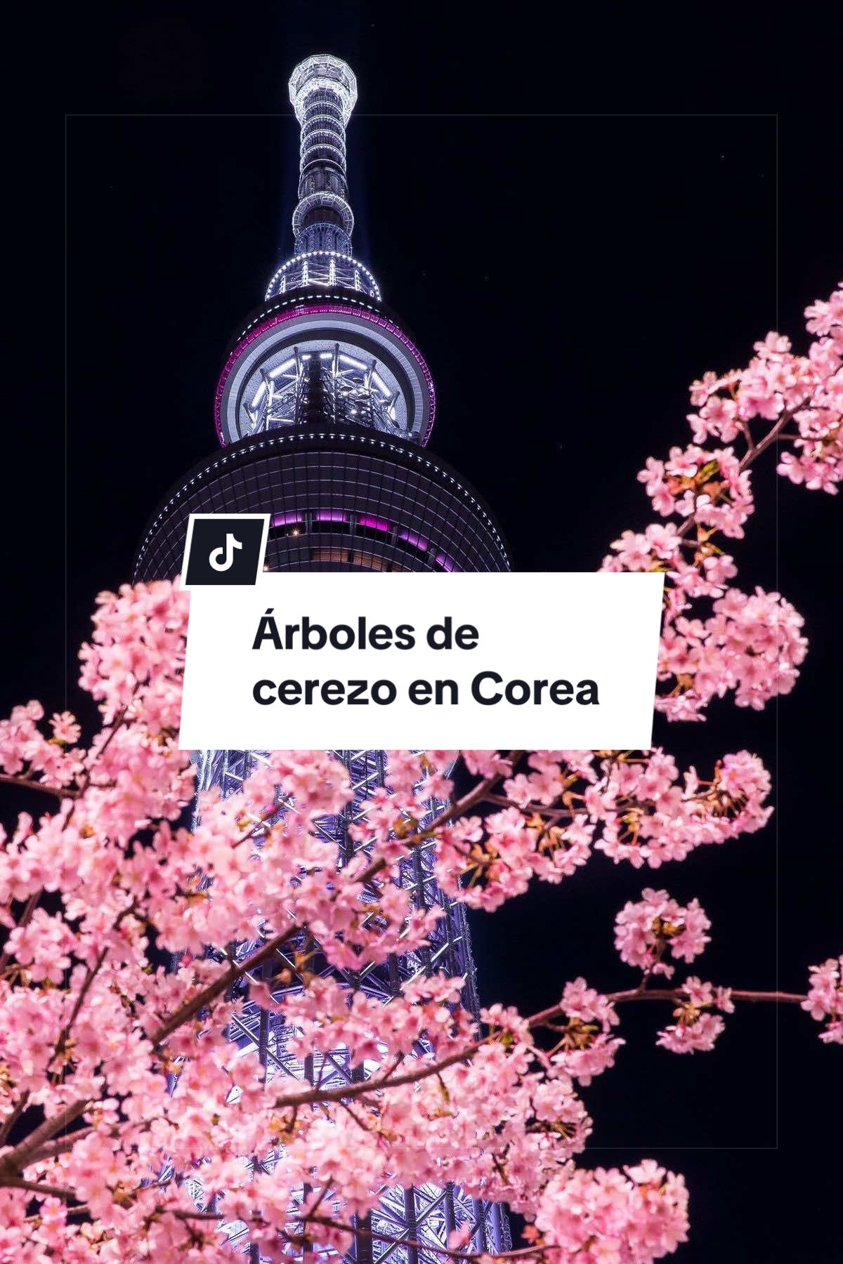 @Sofía 🧚🏼♂️