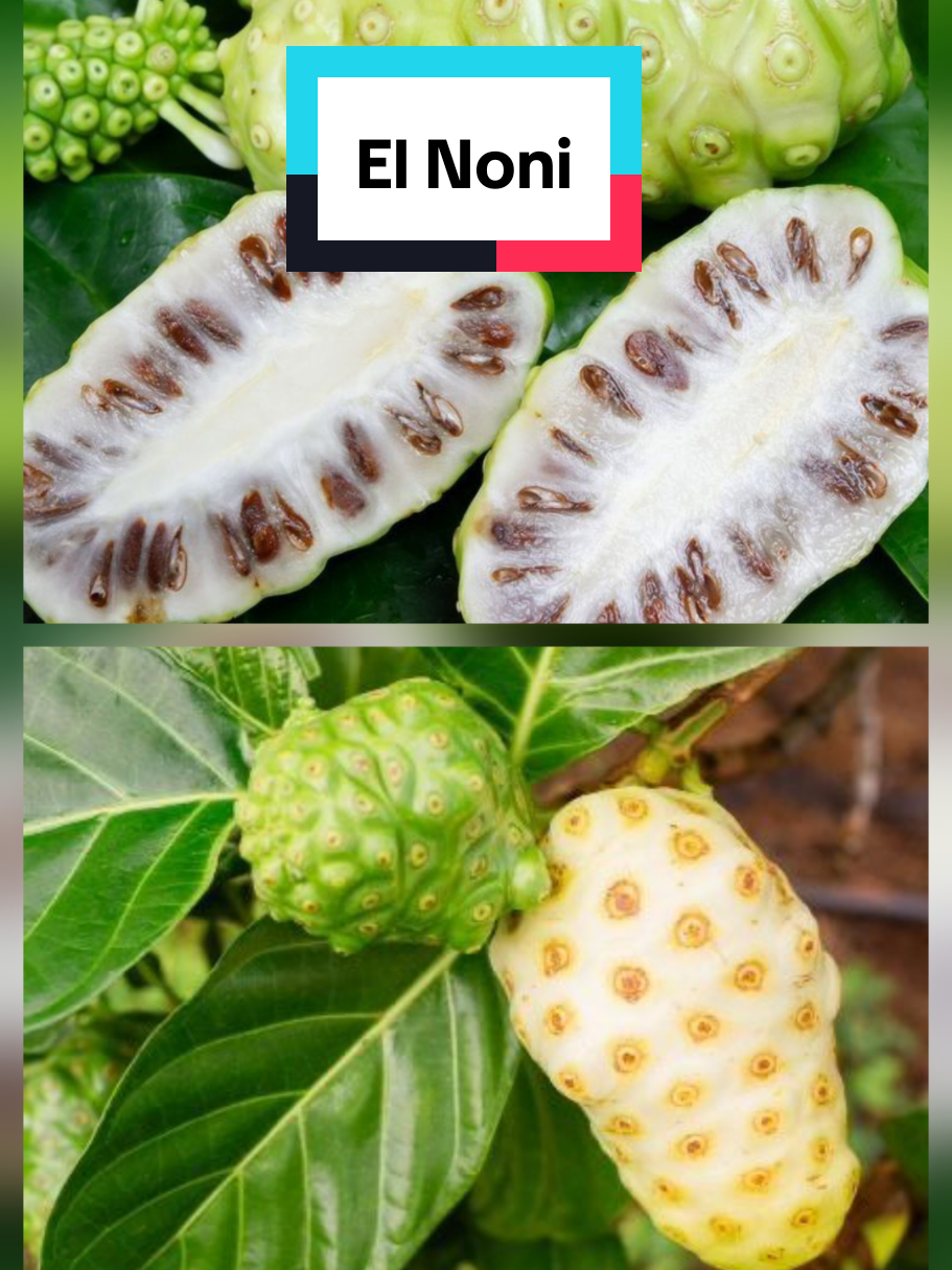 @𝐉𝐨𝐬𝐲