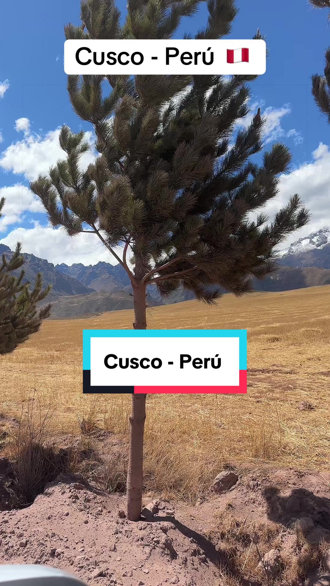 @😃VIAJERO PERÚ 🇵🇪