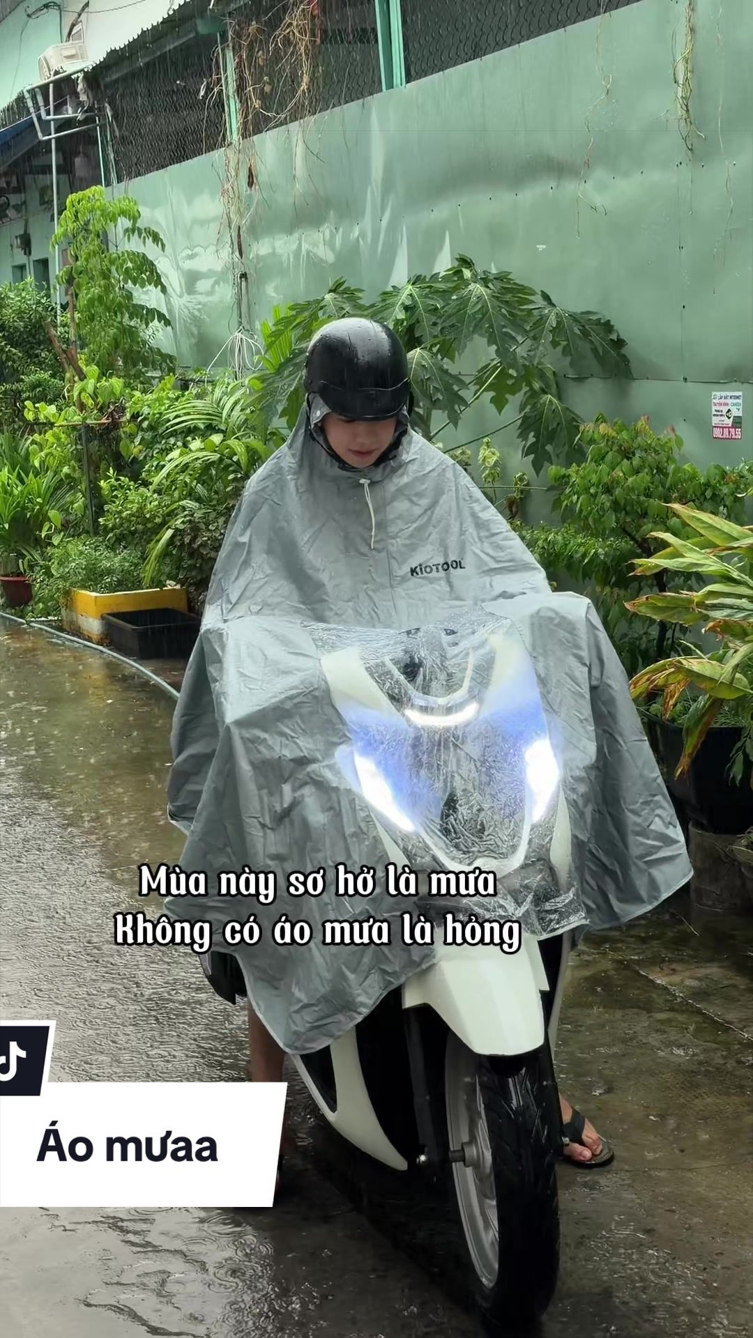 @L&ecirc; Hải