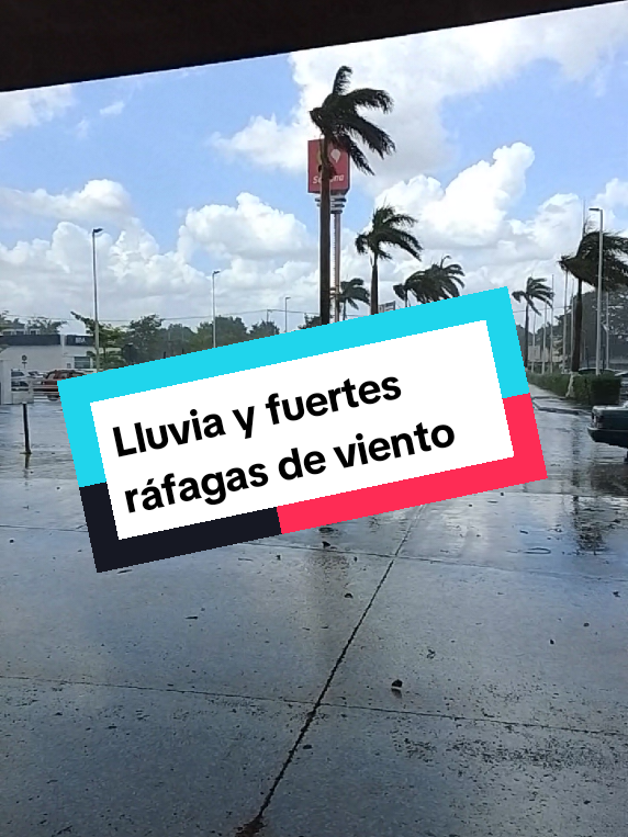 @Camino Hacia la Verdad