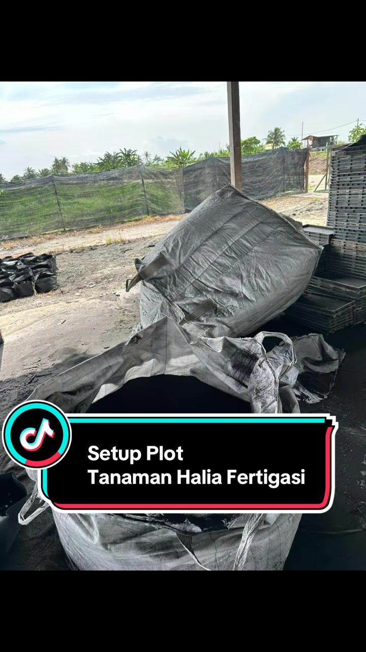 @Khairul Azwan | Petani Muda