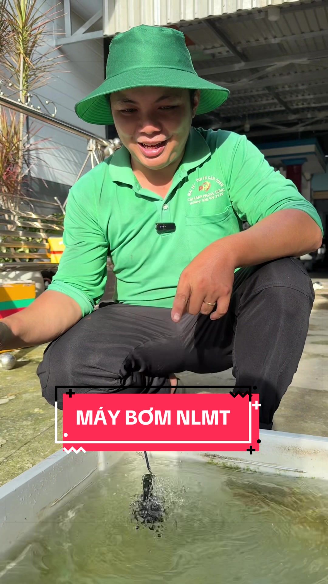 @Cây Xanh Phong Hồng