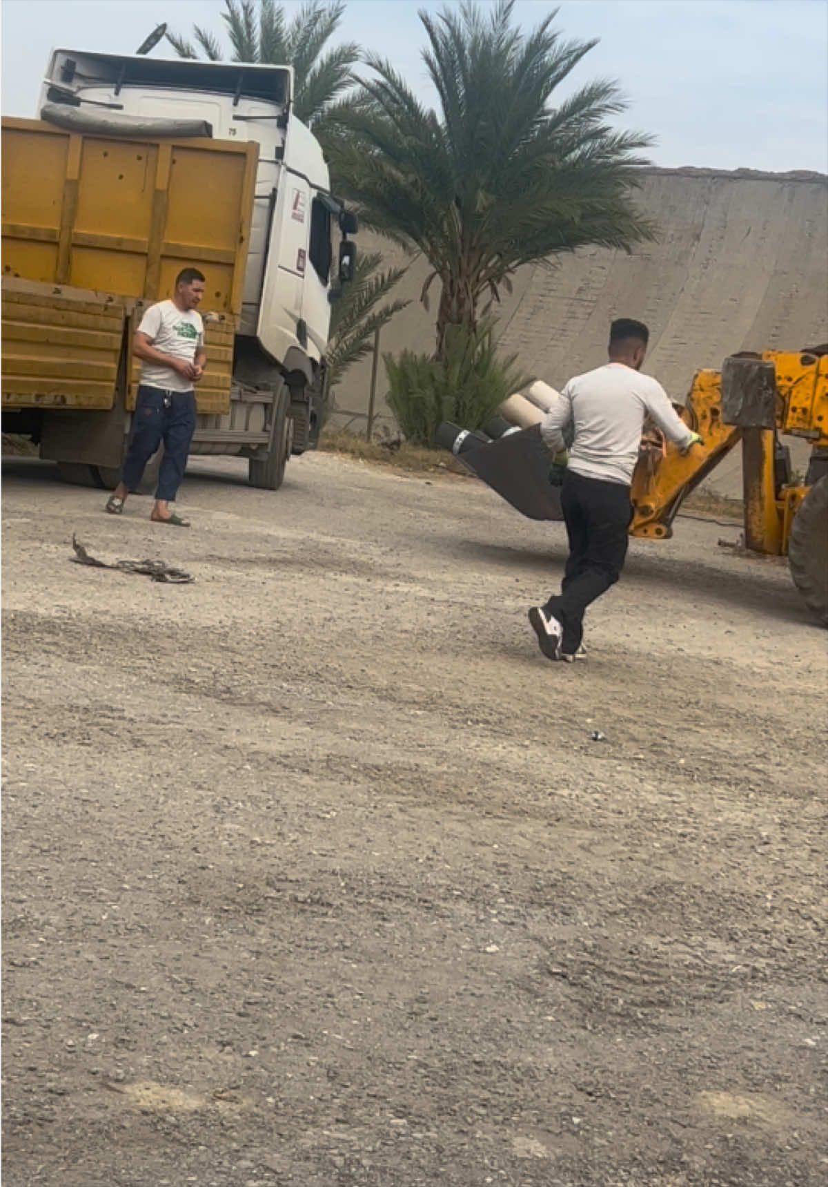 @مانيطو يونس /28