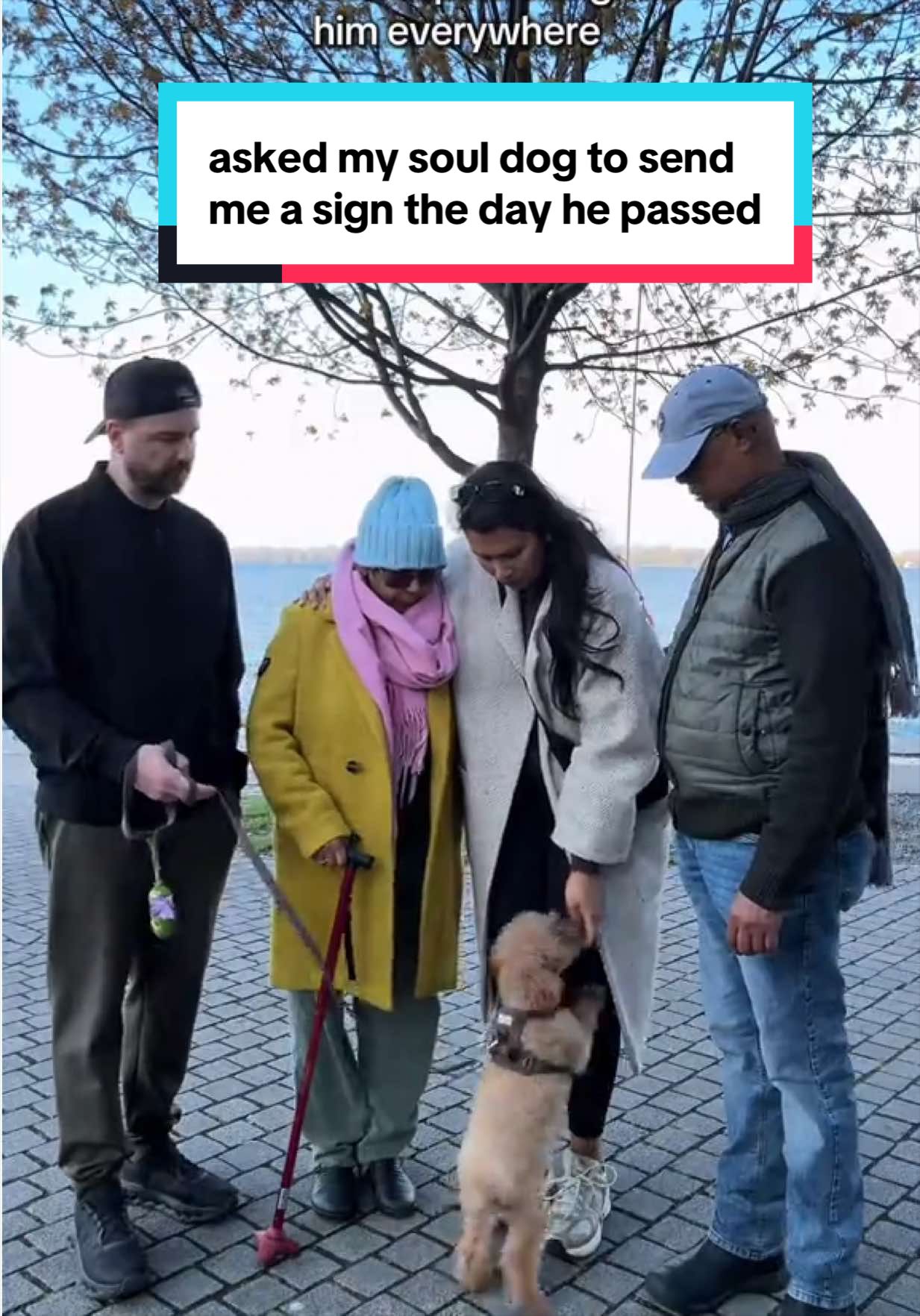 @Jamie Pandit🏳️⚧️