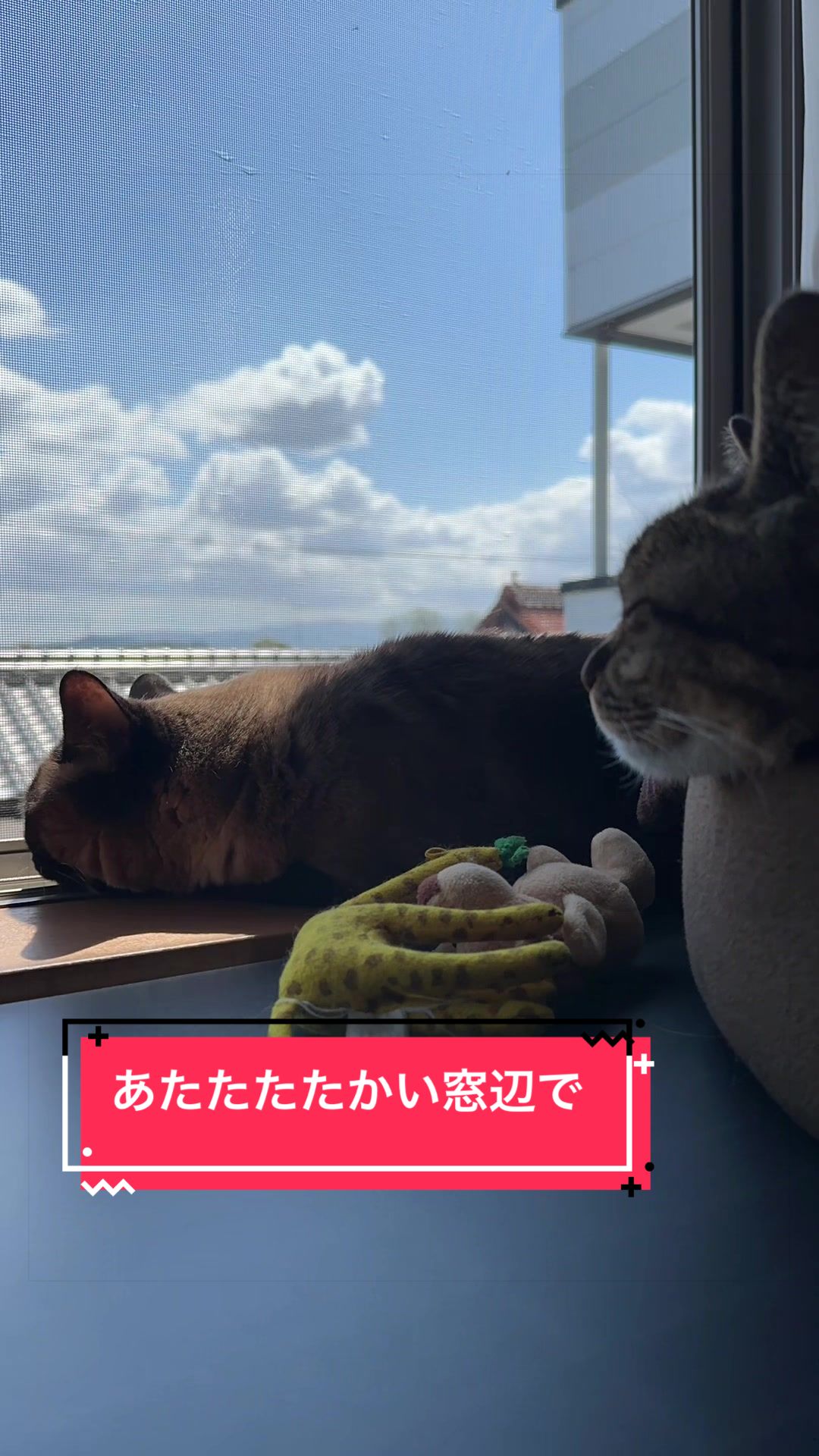 @うちのコレンジャー